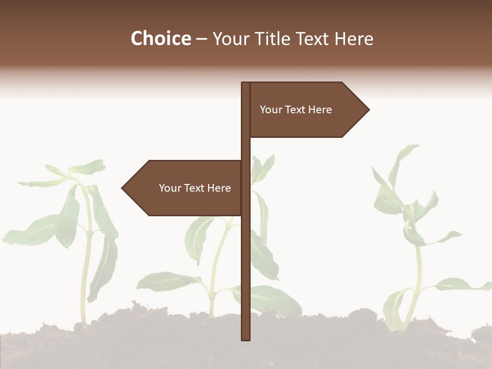 Leaf Environmental Growth PowerPoint Template