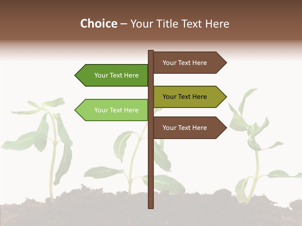 Leaf Environmental Growth PowerPoint Template