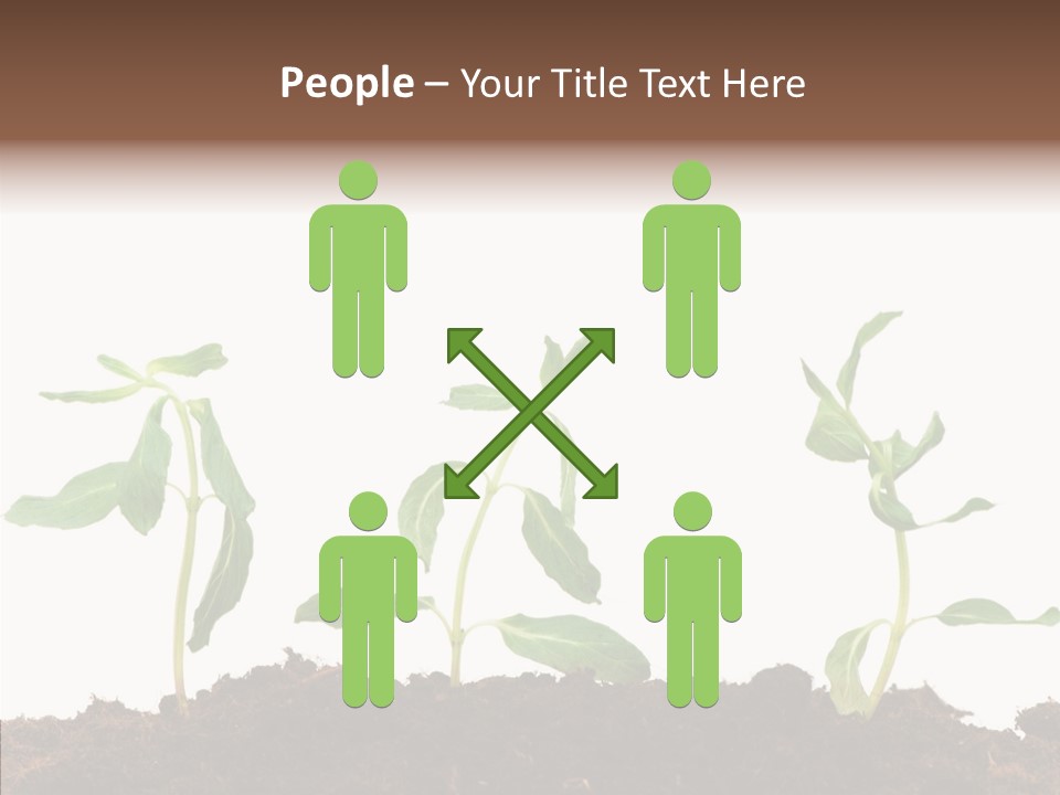 Leaf Environmental Growth PowerPoint Template