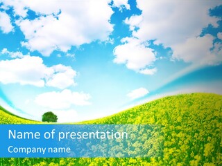 Management Writing Conference PowerPoint Template