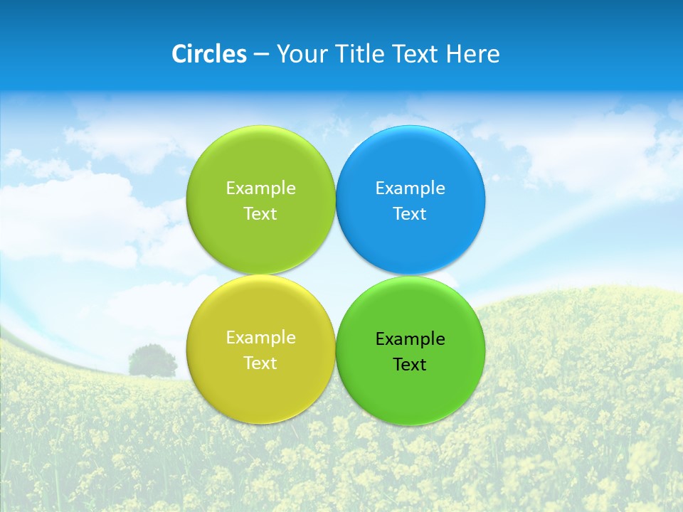 Management Writing Conference PowerPoint Template