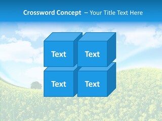 Management Writing Conference PowerPoint Template