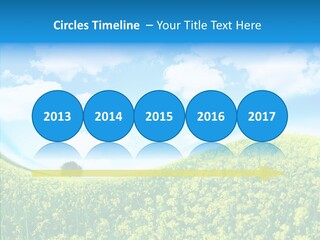 Management Writing Conference PowerPoint Template
