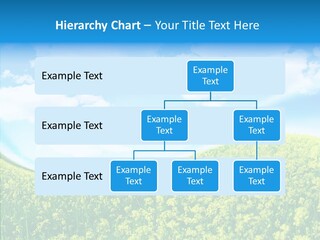 Management Writing Conference PowerPoint Template