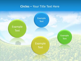 Management Writing Conference PowerPoint Template