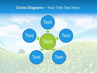 Management Writing Conference PowerPoint Template