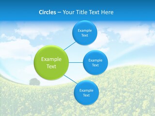 Management Writing Conference PowerPoint Template