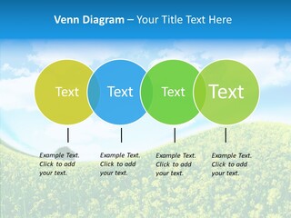 Management Writing Conference PowerPoint Template