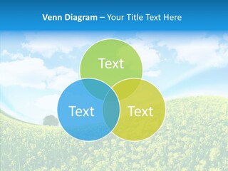 Management Writing Conference PowerPoint Template