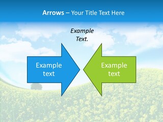 Management Writing Conference PowerPoint Template