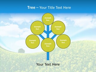 Management Writing Conference PowerPoint Template