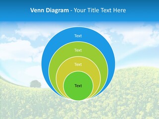 Management Writing Conference PowerPoint Template