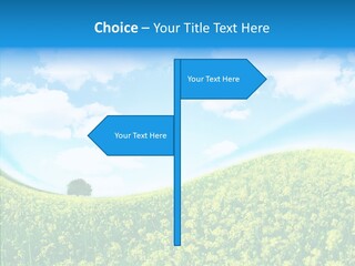 Management Writing Conference PowerPoint Template