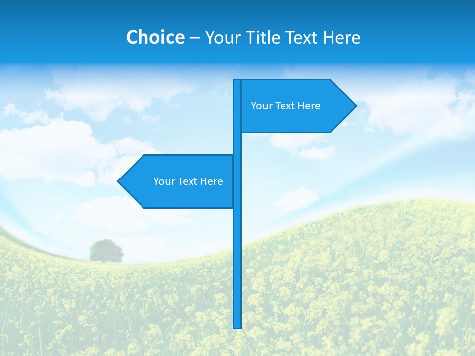 Management Writing Conference PowerPoint Template