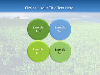 Outdoor Scenic Environment PowerPoint Template