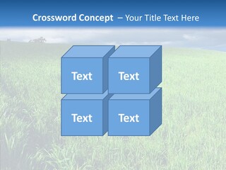 Outdoor Scenic Environment PowerPoint Template