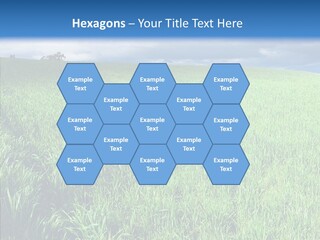 Outdoor Scenic Environment PowerPoint Template