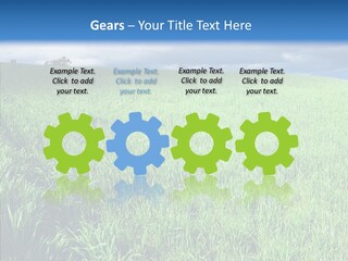 Outdoor Scenic Environment PowerPoint Template