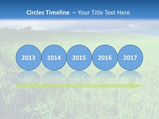 Outdoor Scenic Environment PowerPoint Template