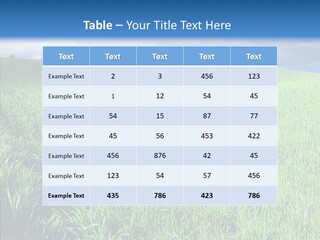 Outdoor Scenic Environment PowerPoint Template