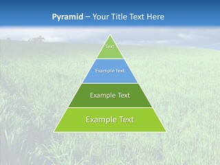 Outdoor Scenic Environment PowerPoint Template