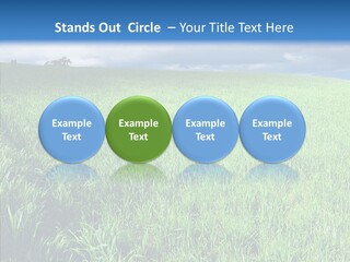 Outdoor Scenic Environment PowerPoint Template