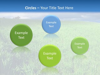 Outdoor Scenic Environment PowerPoint Template