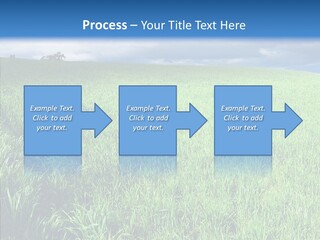 Outdoor Scenic Environment PowerPoint Template