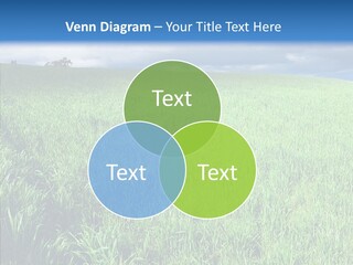Outdoor Scenic Environment PowerPoint Template