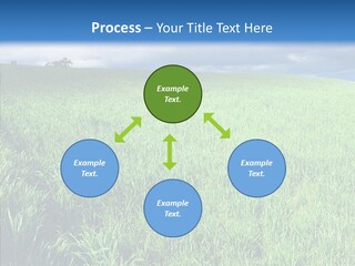 Outdoor Scenic Environment PowerPoint Template