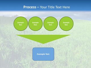 Outdoor Scenic Environment PowerPoint Template