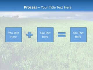 Outdoor Scenic Environment PowerPoint Template