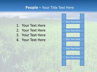 Outdoor Scenic Environment PowerPoint Template