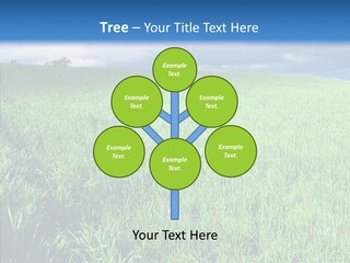 Outdoor Scenic Environment PowerPoint Template