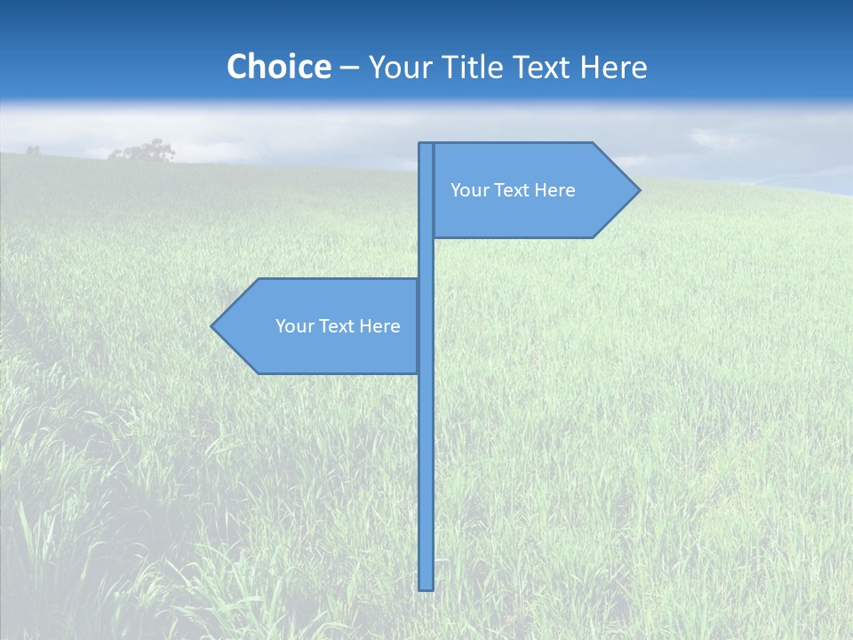Outdoor Scenic Environment PowerPoint Template