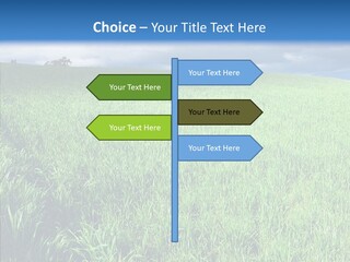 Outdoor Scenic Environment PowerPoint Template