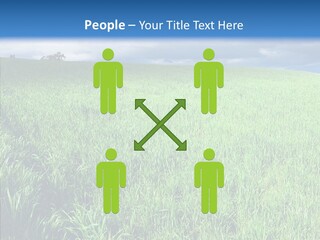 Outdoor Scenic Environment PowerPoint Template