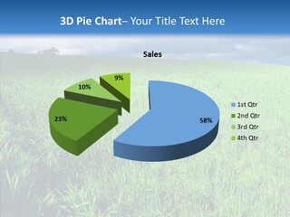 Outdoor Scenic Environment PowerPoint Template