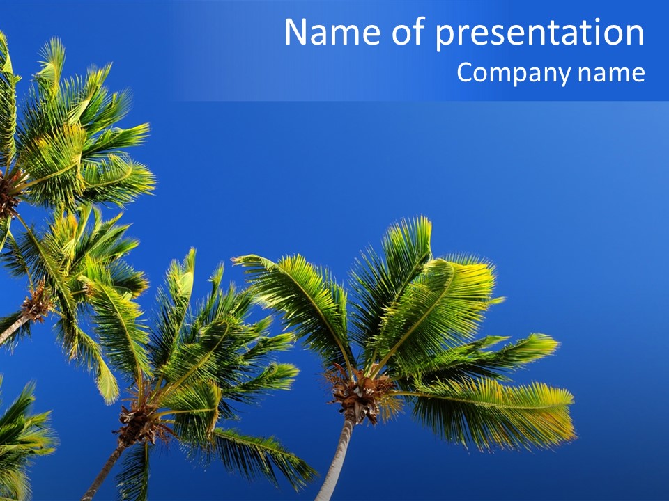 Lush Green Palm Trees On Blue Sky Background PowerPoint Template