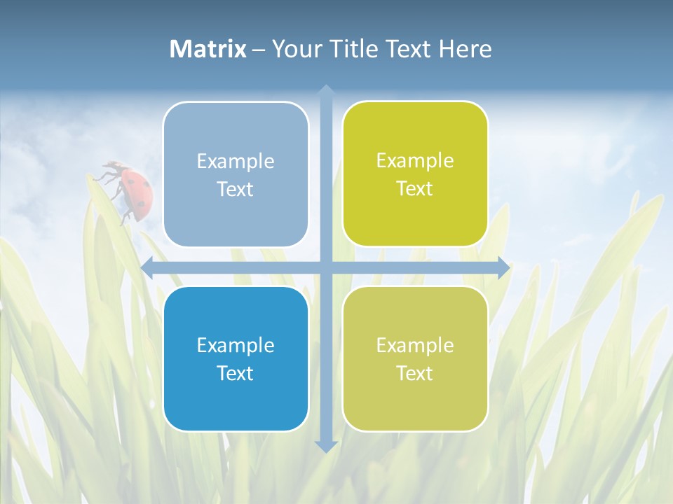 Background Meadow Flower PowerPoint Template