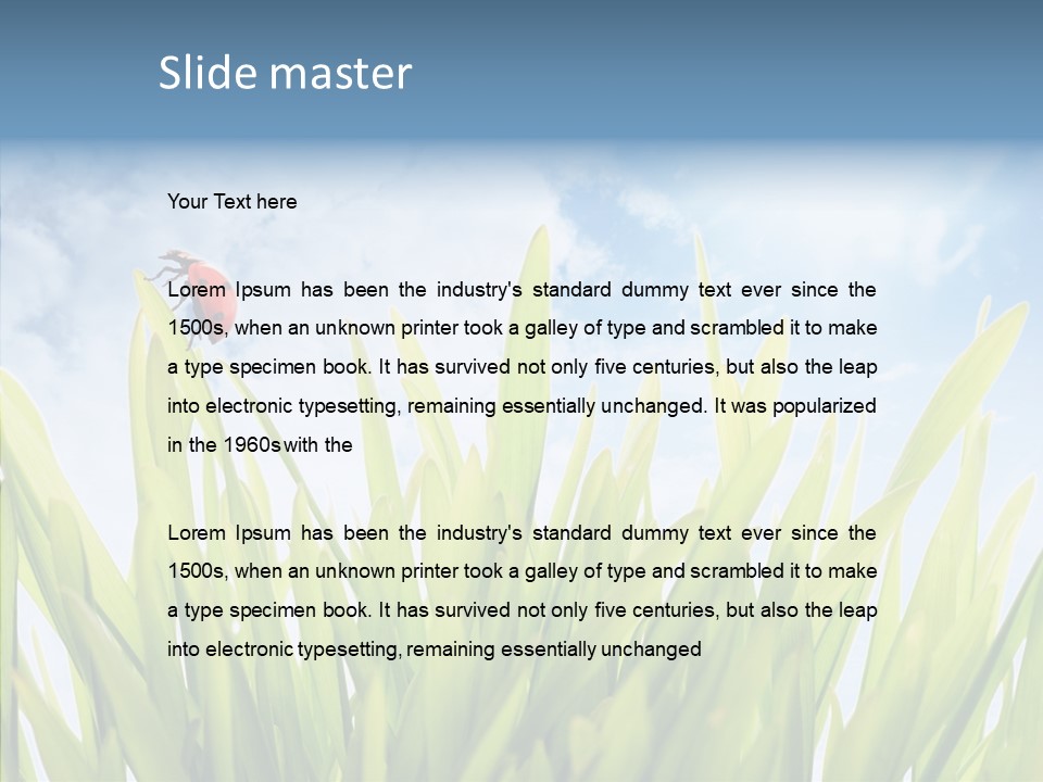 Background Meadow Flower PowerPoint Template