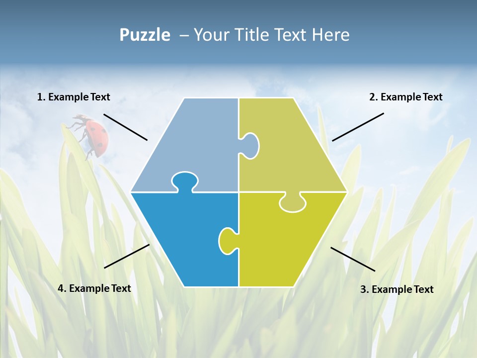 Background Meadow Flower PowerPoint Template