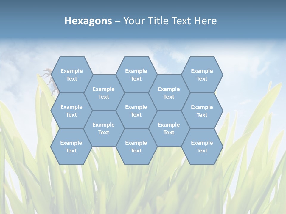 Background Meadow Flower PowerPoint Template