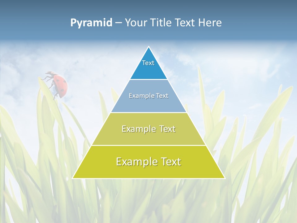 Background Meadow Flower PowerPoint Template