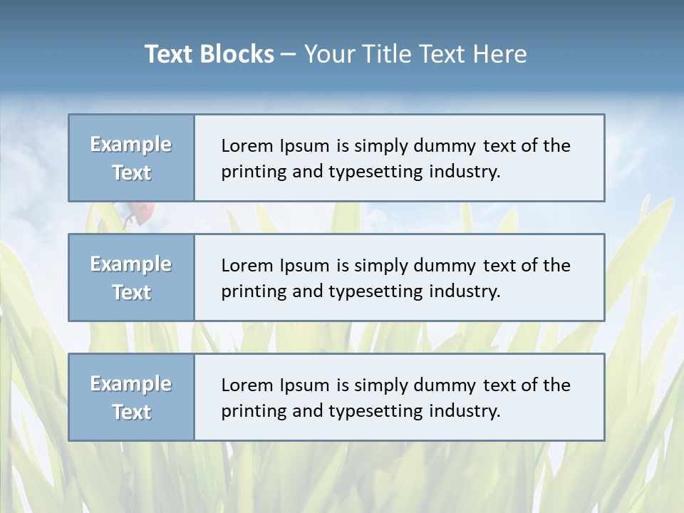 Background Meadow Flower PowerPoint Template