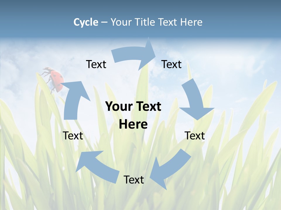 Background Meadow Flower PowerPoint Template