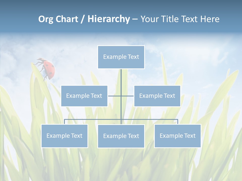 Background Meadow Flower PowerPoint Template