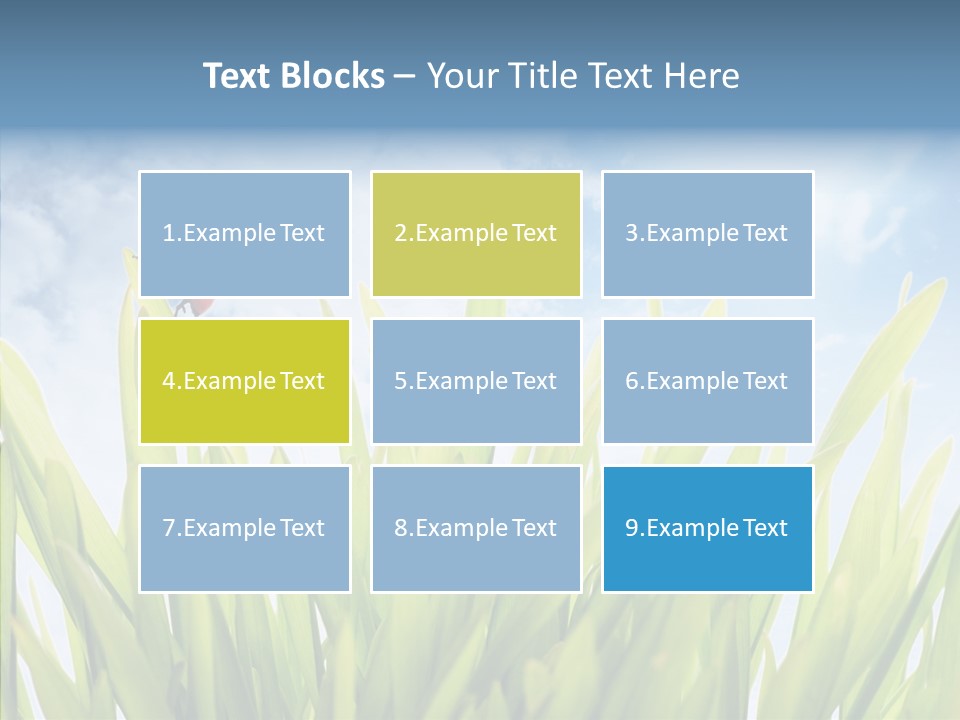 Background Meadow Flower PowerPoint Template