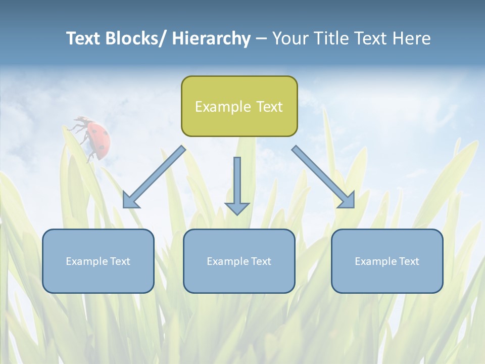 Background Meadow Flower PowerPoint Template