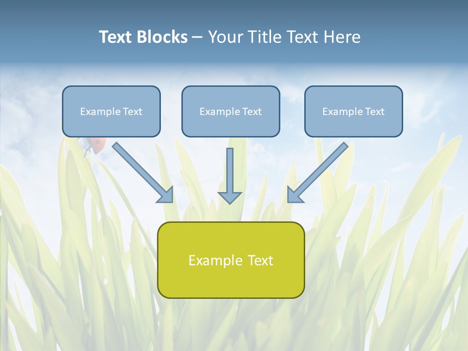 Background Meadow Flower PowerPoint Template